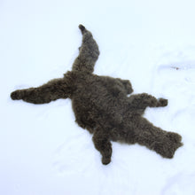 Lataa kuva Galleria-katseluun, Vauvan alpakan iho