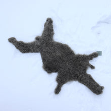 Lataa kuva Galleria-katseluun, Vauvan alpakan iho