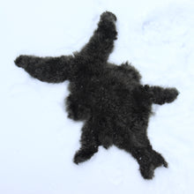 Lataa kuva Galleria-katseluun, Vauvan alpakan iho