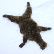 Lataa kuva Galleria-katseluun, Vauvan alpakan iho