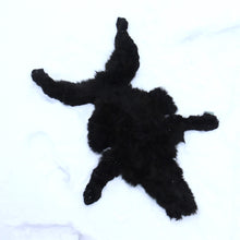 Lataa kuva Galleria-katseluun, Vauvan alpakan iho