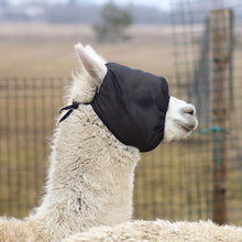 Lataa kuva Galleria-katseluun, Putukamaskid alpakadele
