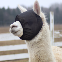 Lataa kuva Galleria-katseluun, Putukamaskid alpakadele