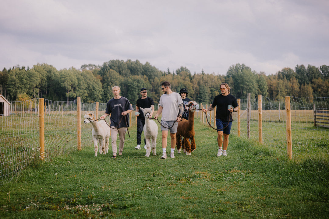 Jalutuskäik alpakadega