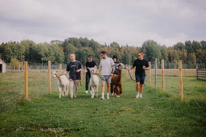 Jalutuskäik alpakadega