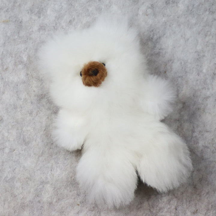 Nahkainen nallekarhu