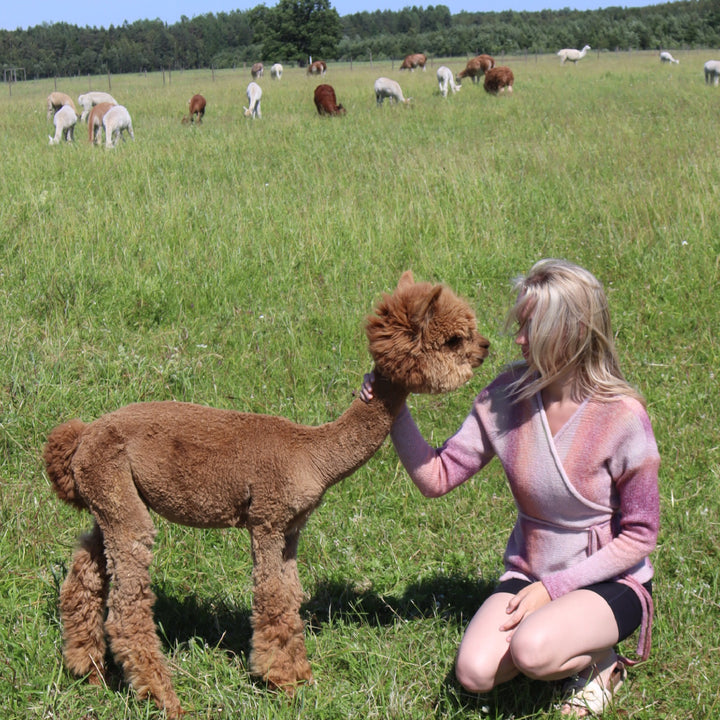 Hellä kietaisuneule