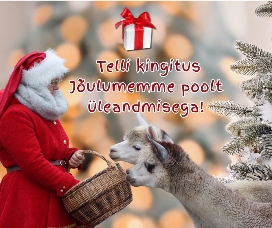 Kingituse üleandmine Jõulumemme poolt meie Jõuluüritusel!