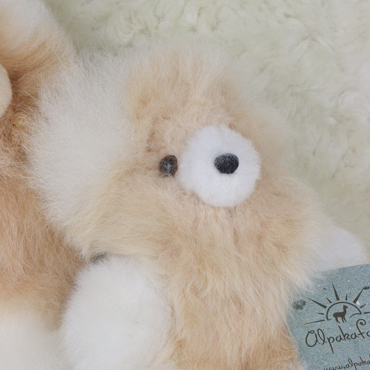 Nahkainen nallekarhu