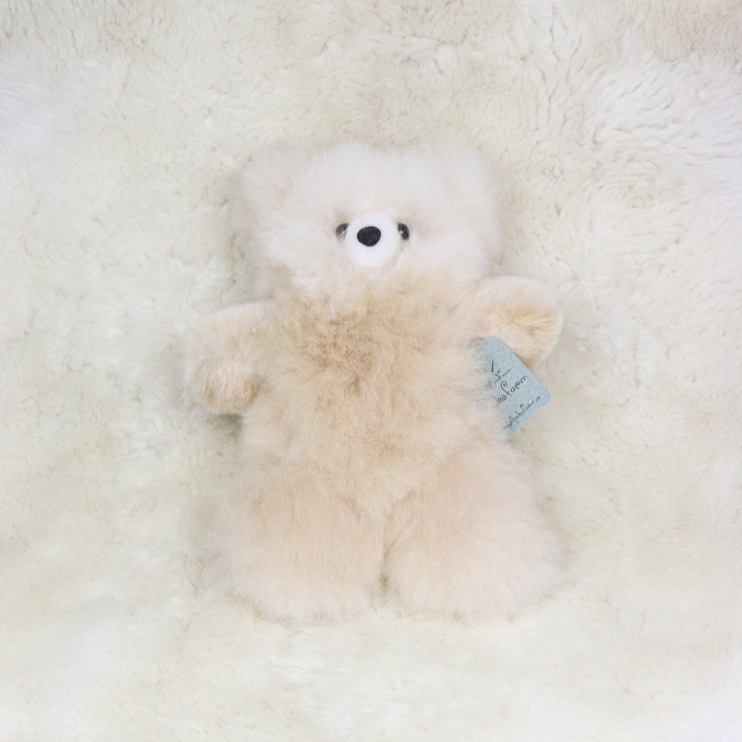 Nahkainen nallekarhu